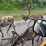 Fin Leilighet I Tromsdalen. トロムソ